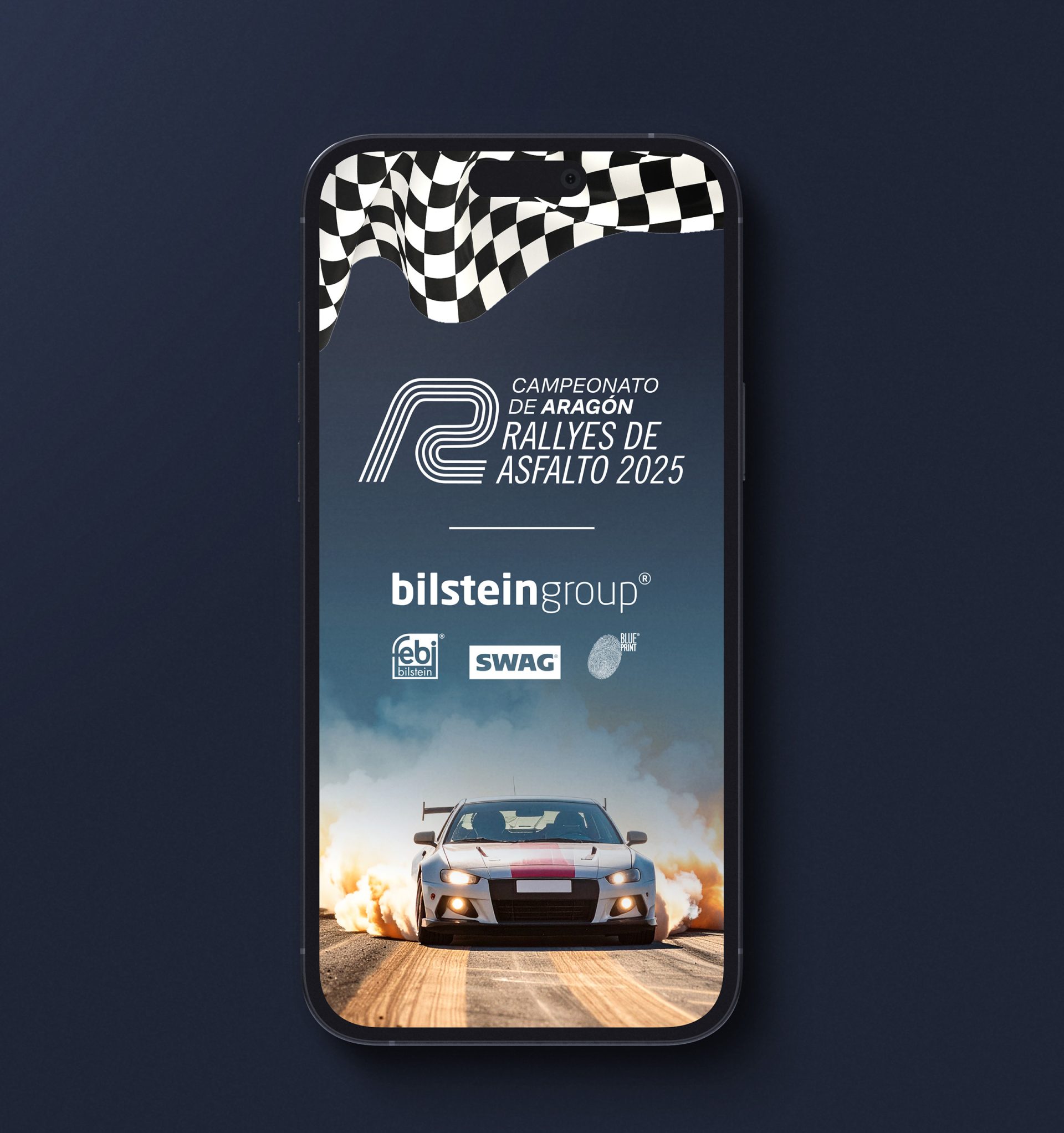 Campeonato de Aragón Rallyes de Asfalto. Bilstein group