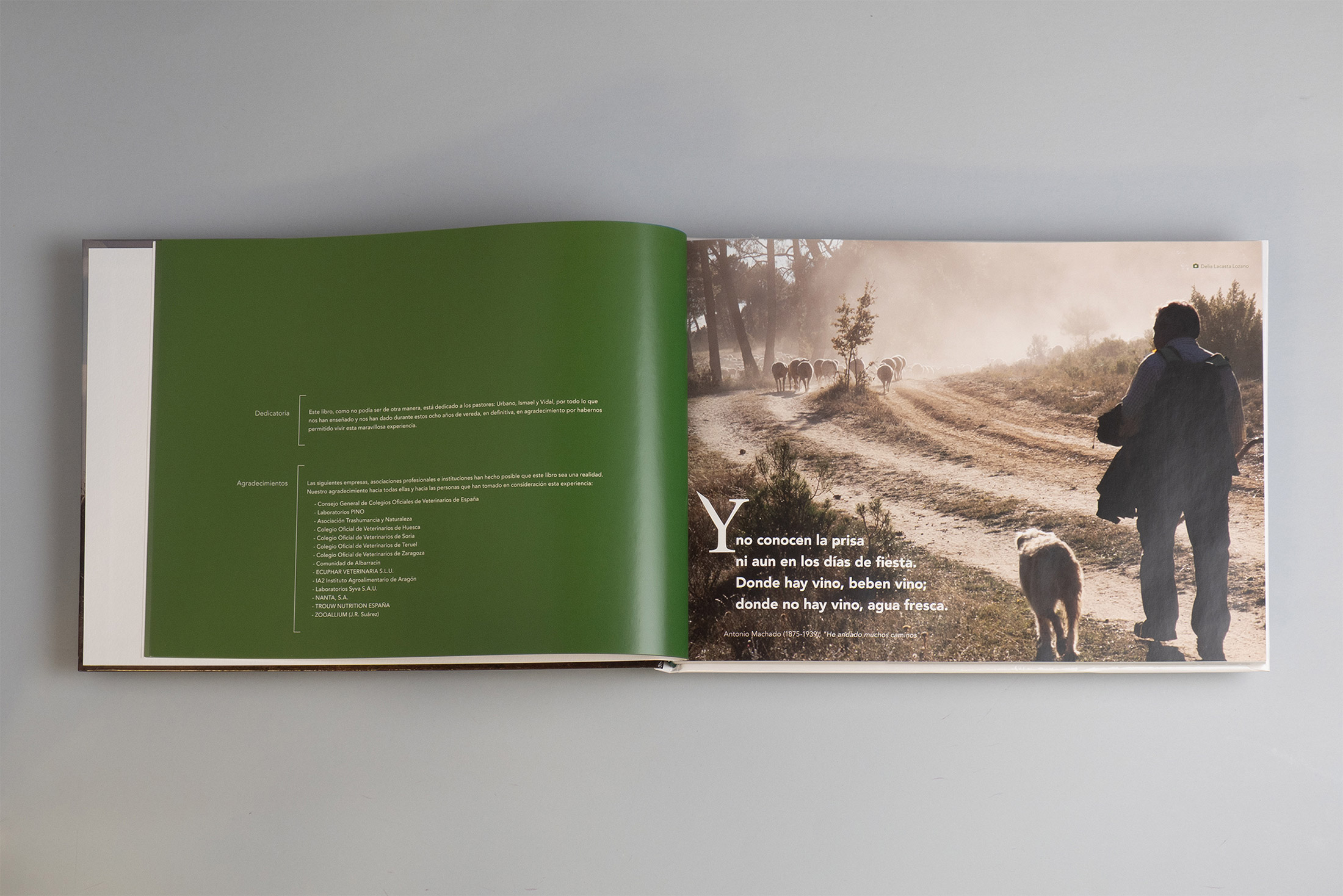 Libro Crónica de la Vereda Zaragoza