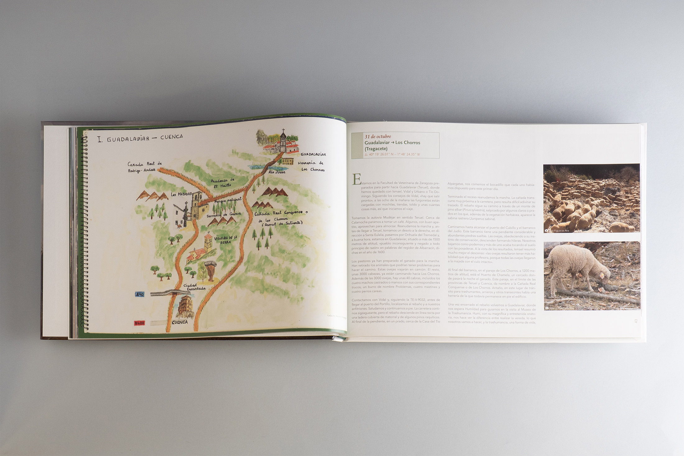 Libro Crónica de la Vereda Zaragoza