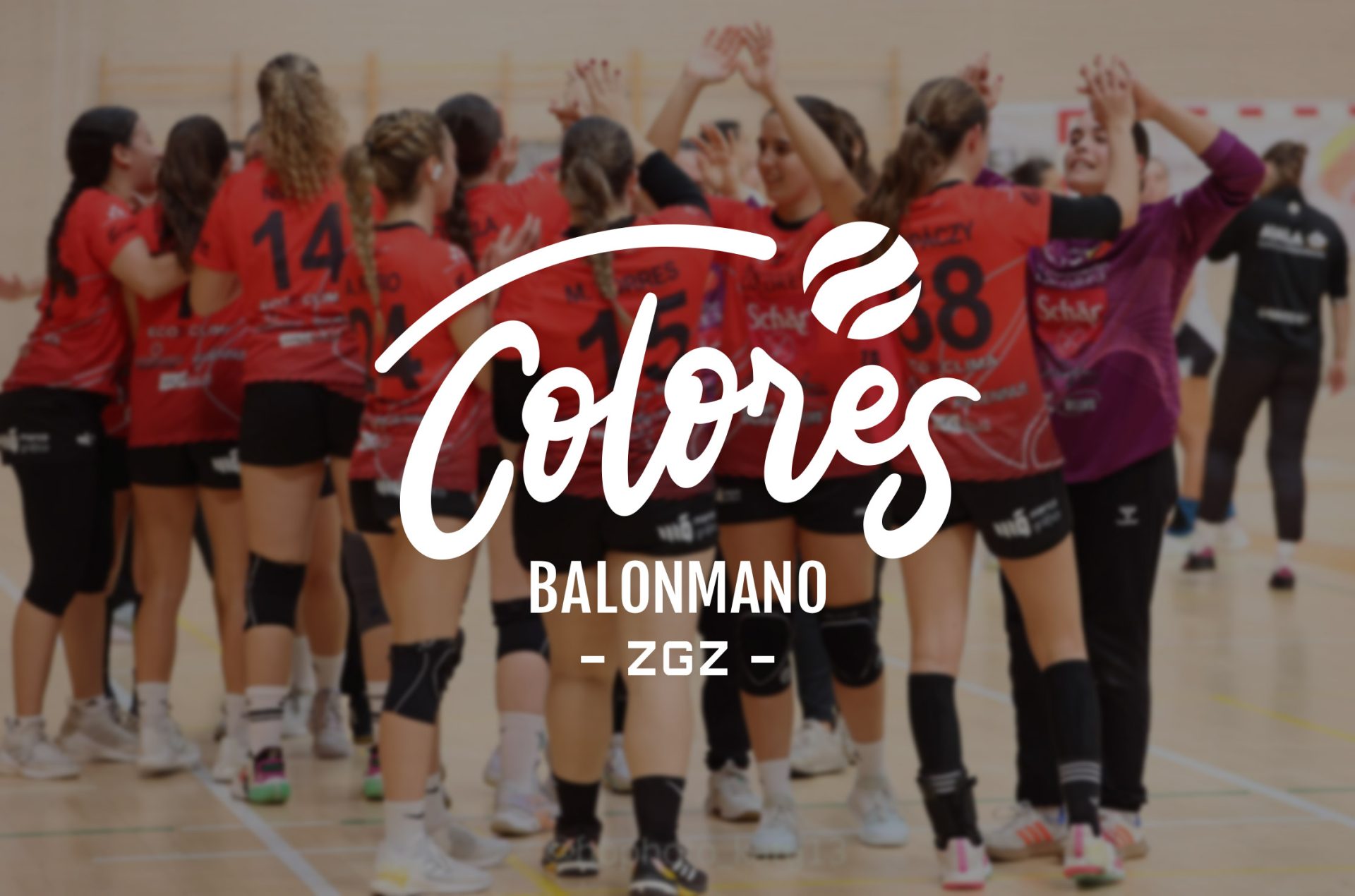 Identidad visual Club Balonmano Colores